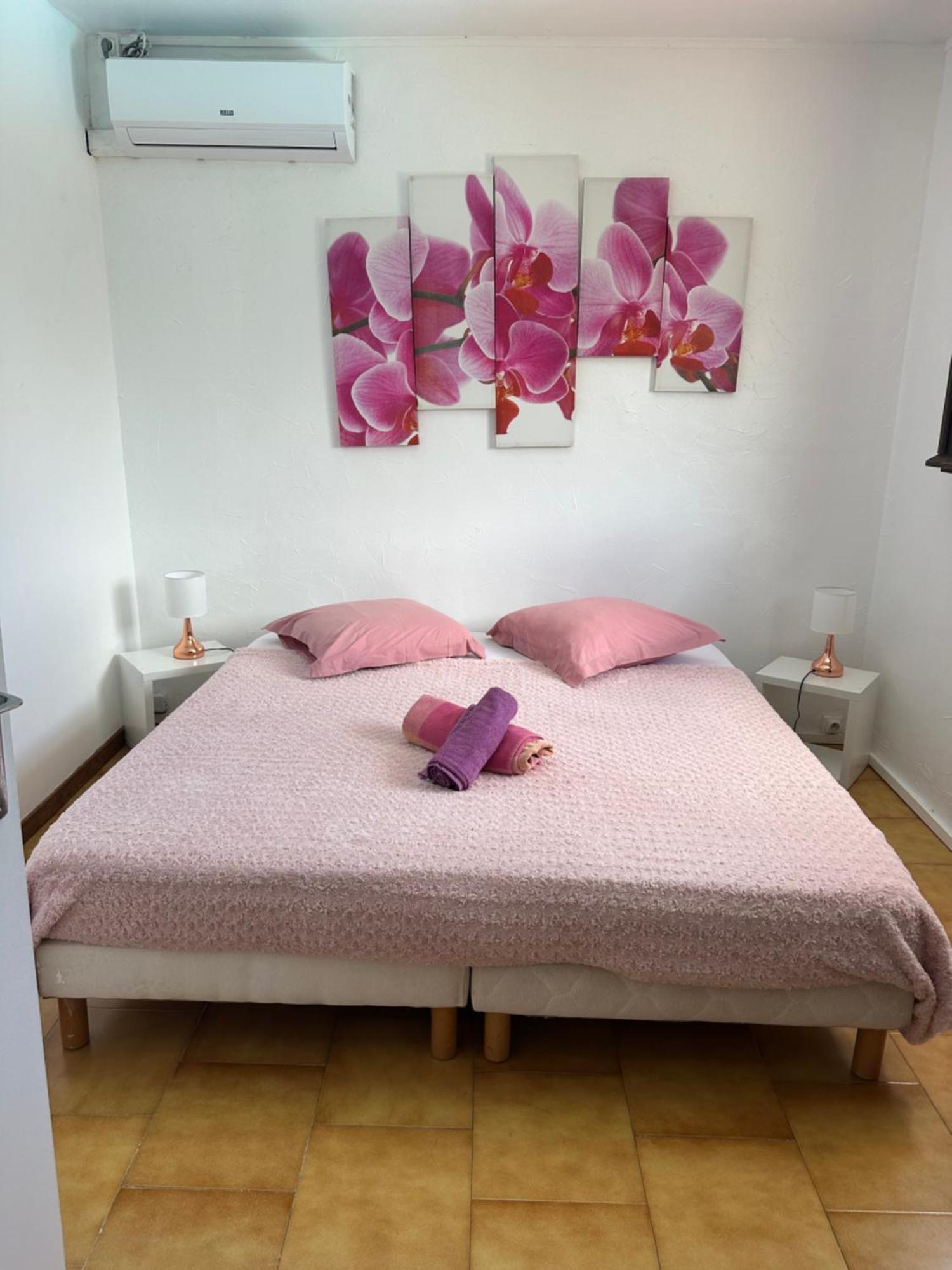 Villa Les Orchidees Et Villa Alpinia Petit-Bourg Bagian luar foto